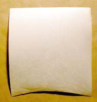 Feuille de parchemin / Parchment sheet